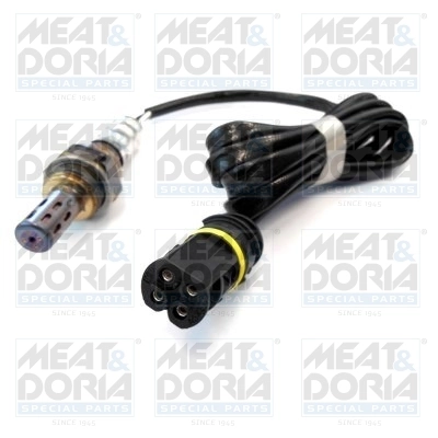 Oxygen Sensor
